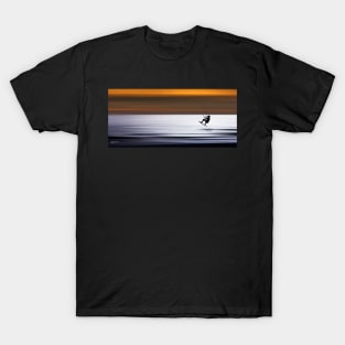 F L Y I N G T-Shirt